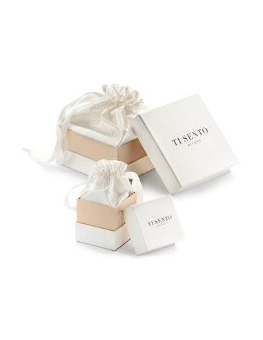 Boucles d'Oreilles Maillon En Argent Ti Sento 7831SI