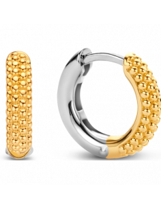 Boucles d'Oreilles Créoles En Plaqué Or Jaune Ti Sento