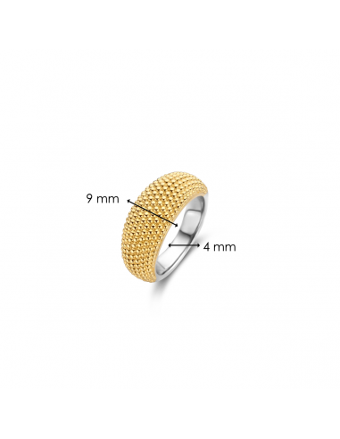 Bague Dôme En Argent Plaqué Or Ti Sento 12277sy
