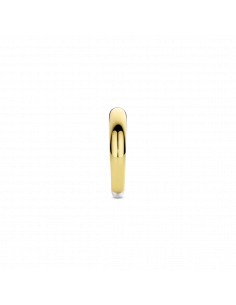 Bague Bicolore Argent Et Vermeil Ti Sento 12287SY 2