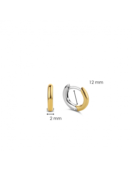 Boucles d'Oreilles Créoles Ti Sento Bicolore