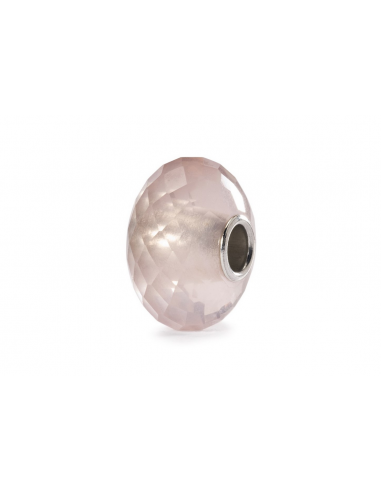 Bracelet Complet Lovebirds Trollbeads Argent TAGBO-00991