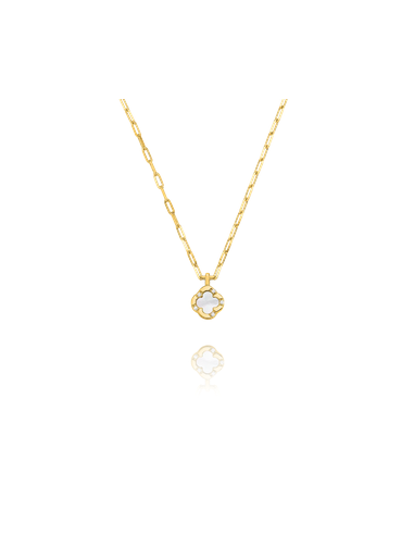 Collier En Argent Doré CHARLES GARNIER Trèfle Et Nacre