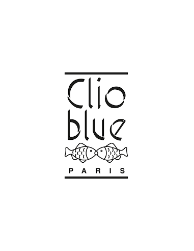 Collier Terry De Clio Blue En Argent Et Malachite