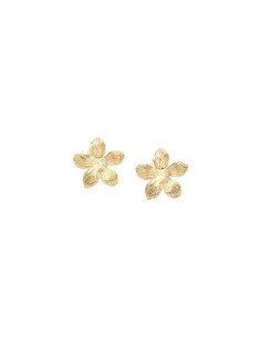 Boucles D'oreilles AGATHA Puces BLOOM En Laiton Doré