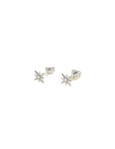 Puces Ourse De AGATHA Argent Et Zirconium