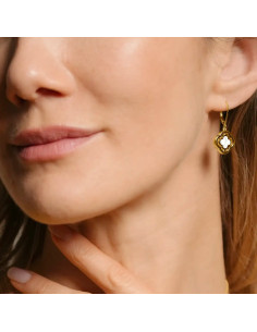 Boucles D'oreilles Réversible En Plaqué Or Et Nacre Charles Garnier 2