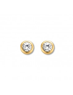 Boucles d'Oreilles Ti Sento 7597ZY
